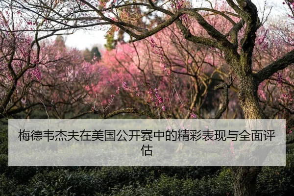 梅德韦杰夫在美国公开赛中的精彩表现与全面评估